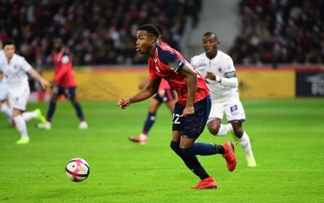 国在国际智 国在国际智