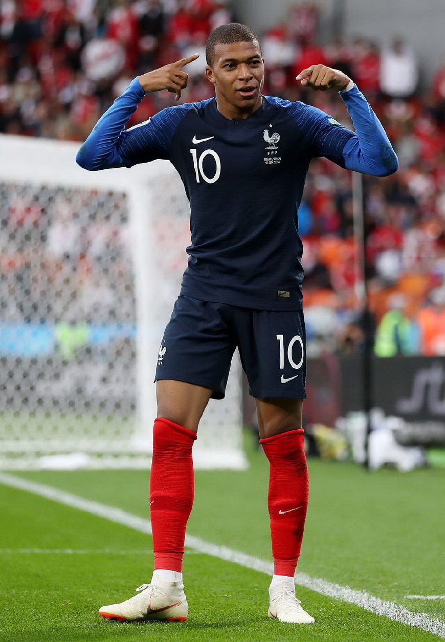 向与草皮类 向与草皮类